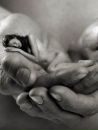 Фотография Светловой Елены