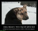 Іван Лецан фотография #8 (источник - https://vk.com/id161058427)