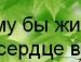 Дмитрий Писарев фотография #45 (источник - https://vk.com/id17475470)