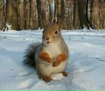 Фотография Житовой Анисьи