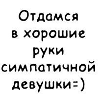 №12, Саша Грот №12, Саша Грот