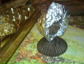 Фотография Старцевой Юлии