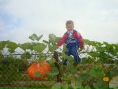 Таніта Максимчук фотография #45 (источник - https://vk.com/id64326821)