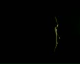 Фотография Шубиной Юлии