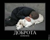 Софья Ловчикова фотография #43 (источник - https://vk.com/id515594)