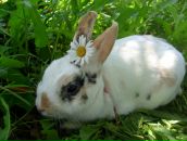 Фотография Сатиной-Любимовой Надюшки