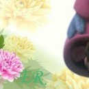 Ірка Мацан фотография #9 (источник - https://vk.com/id144670539)