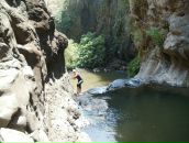 Анна Стоколос фотография #49 (источник - https://vk.com/id3589609)