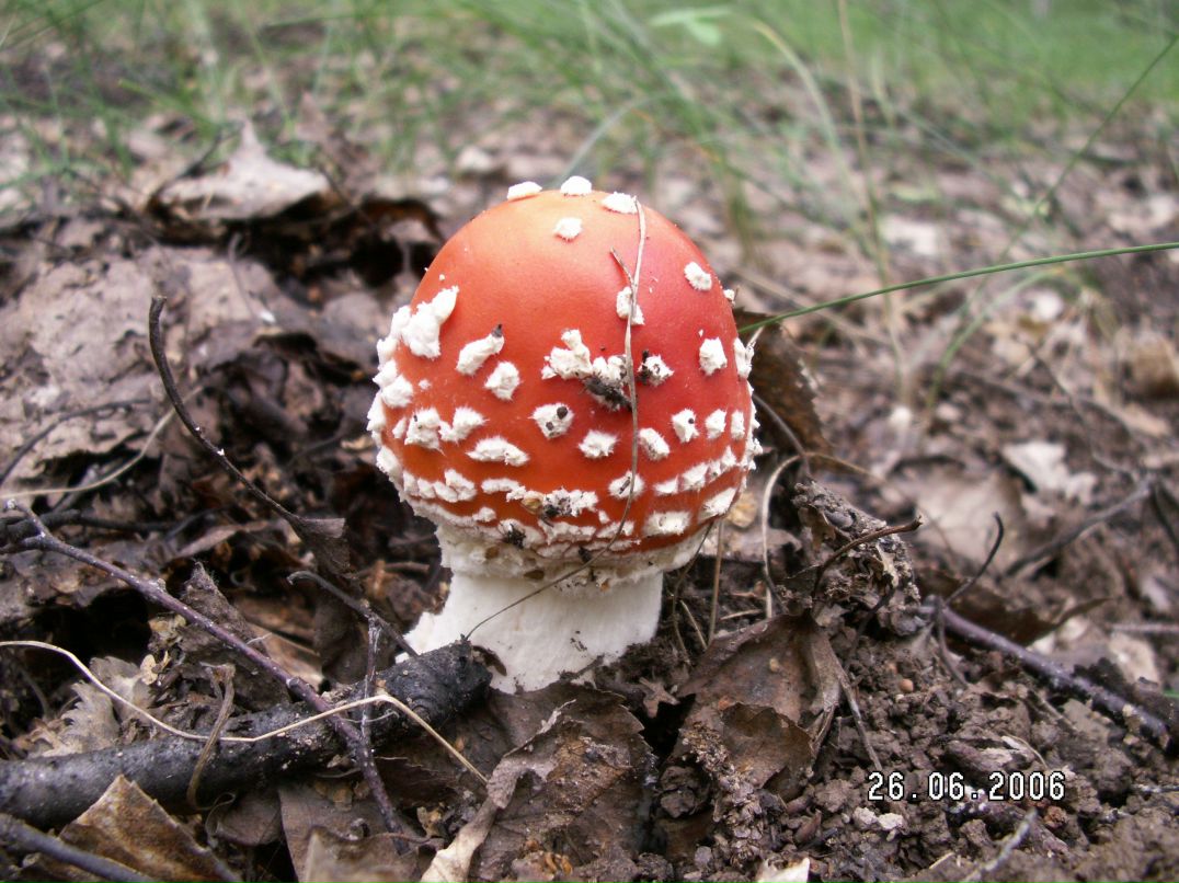 Надежда Ткаченко фотография #9