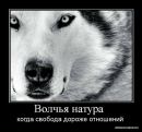 Євген Рябов фотография #46 (источник - https://vk.com/id140649311)