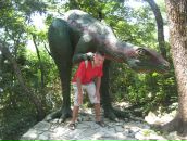 Фотография Варламова Юлия