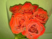 Фотография Масловой Юлии