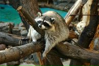 Фотография Стеценко Алёны