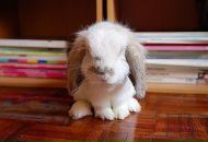 Фотография Сотиной Златы