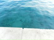 Ильнур Халикофф фотография #50 (источник - https://vk.com/id7593235)