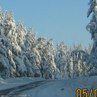 Коля Луців фотография #16 (источник - https://vk.com/id66166396)