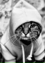 Фотография Файрушиной Милы