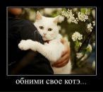 Олексій Іванчен фотография #22 (источник - https://vk.com/id74238157)