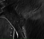 Фотография Заики Васи