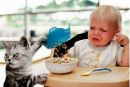 Elegant Most:)(:most фотография #18 (источник - https://vk.com/id115070266)