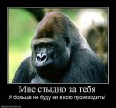 Фотография Костенко Ольги