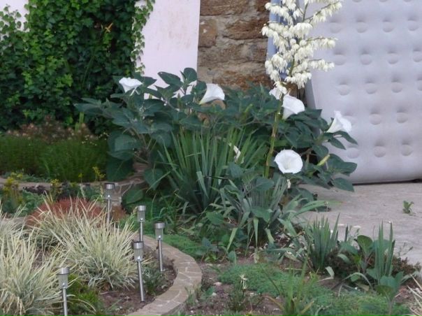 Виктор Левченко фото №34