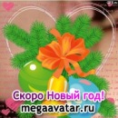 Фотография Гладкоскок Юлии