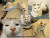 Фотография Шушпановой Екатерины