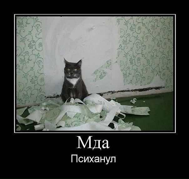 №17, Маша Зарубина, 38 лет, Воронеж №17, Маша Зарубина, 38 лет, Воронеж