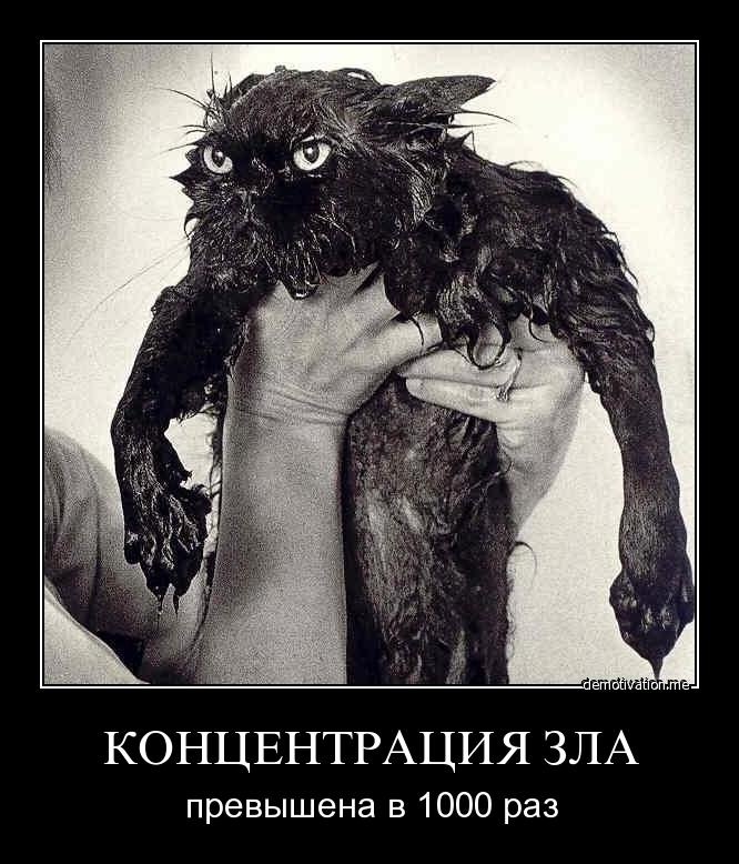 Николай Логинов фотография #42