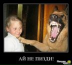 Фотография Беляева Вовчика