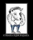 Фотография Бурдина Наталья