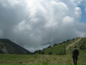 Діма Коваль фотография #50 (источник - https://vk.com/id18156668)