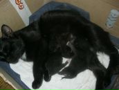 Дмитрий Озябкин фотография #30 (источник - https://vk.com/id669617)