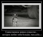 Юрій Яценко фотография #22 (источник - https://vk.com/id54146933)