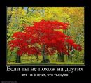 Юрій Бідненко фотография #15 (источник - https://vk.com/id151010759)