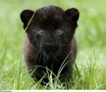 Фотография Паутовой Евгении