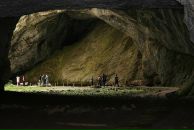 Фотография Сергачевой Дарьи