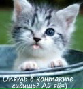 Микола Пітко фотография #7 (источник - https://vk.com/id155180970)