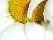 Іванна Майданська фотография #39 (источник - https://vk.com/id85635594)