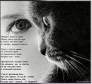 __leron Kozlova__ фотография #1