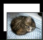 Фотография Лукашевич Марии