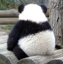 Фотография Чермошенцевой Анастасии