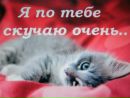 Ілля Подгорський фотография #7 (источник - https://vk.com/id137327744)