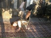 Никита Иванов фотография #47 (источник - https://vk.com/id27083505)