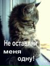 Аліна Черних фотография #20 (источник - https://vk.com/id136622299)