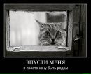 Фотография Губанищевой Татьяны