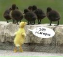 Сергій Матвіїшин фотография #20 (источник - https://vk.com/id126214908)