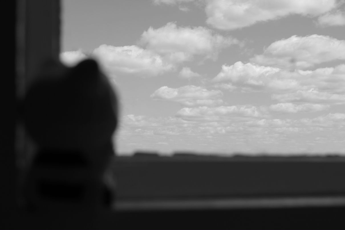 Антон Шумаков фотография #30