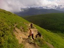 Сергій Бобрик фотография #30 (источник - https://vk.com/id114278648)